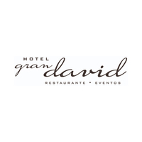 Hotel Gran David